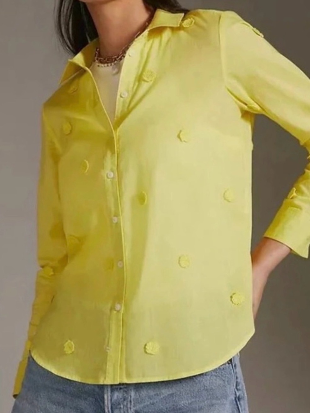 Maeve by Anthropologie Embroidered Shell Linen Button Down
